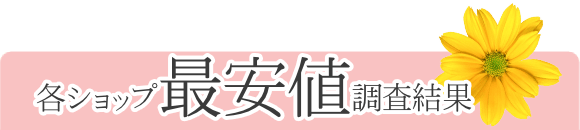 最安値リサーチ