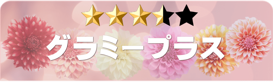 グラミープラス