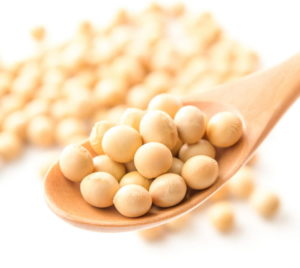 バストアップ成分：エクオール（大豆イソフラボン）