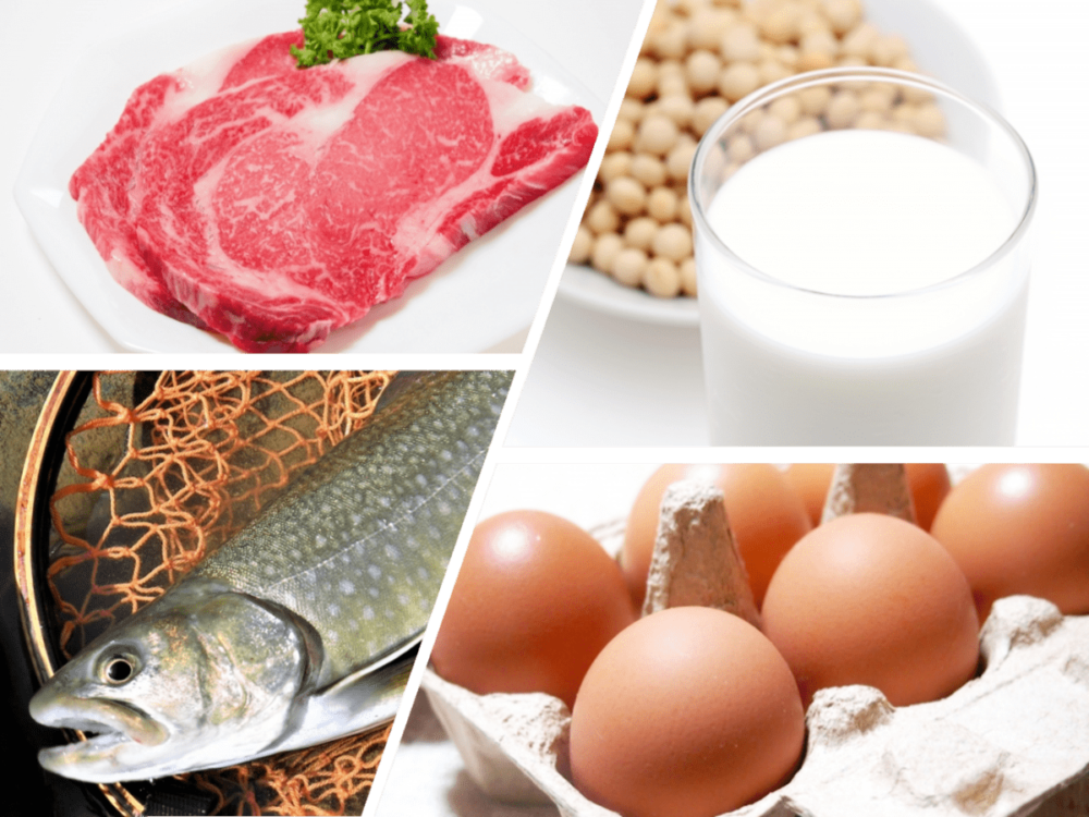 バストアップ成分：良質なタンパク質